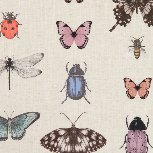 Clarke & Clarke | Fabric | Papilio