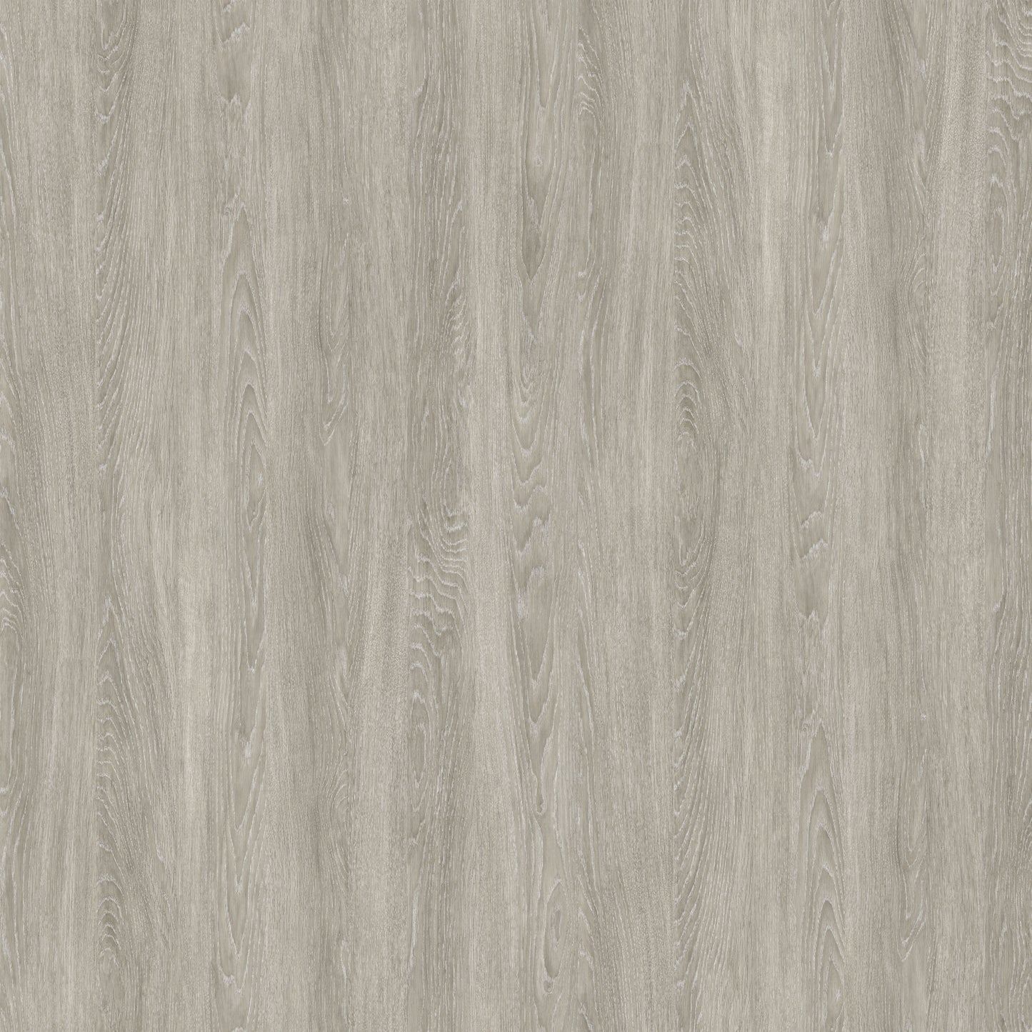 Nobilis | GRAND CHENE GRIS