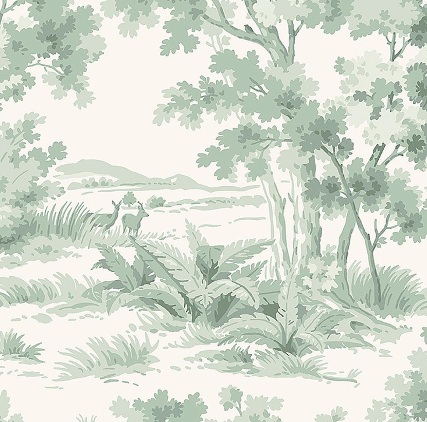 Countryside Morning