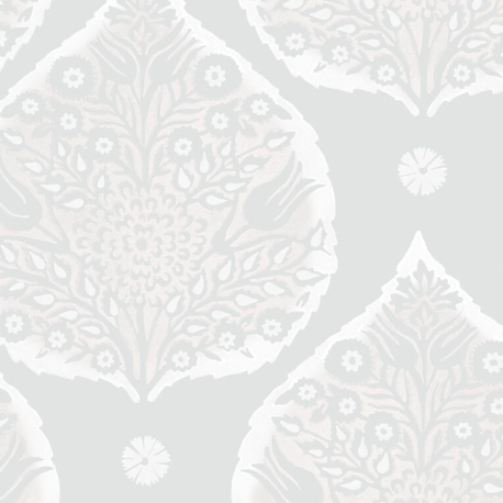 Galbraith & Paul | Little Lotus