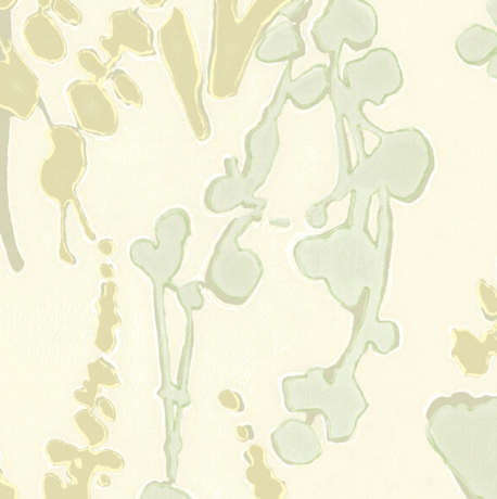 Galbraith & Paul | Wildflower