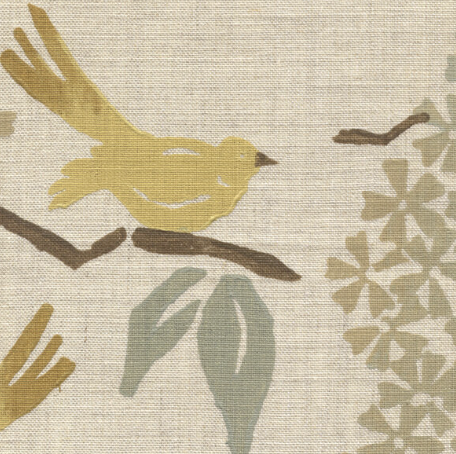 Galbraith & Paul | Birds