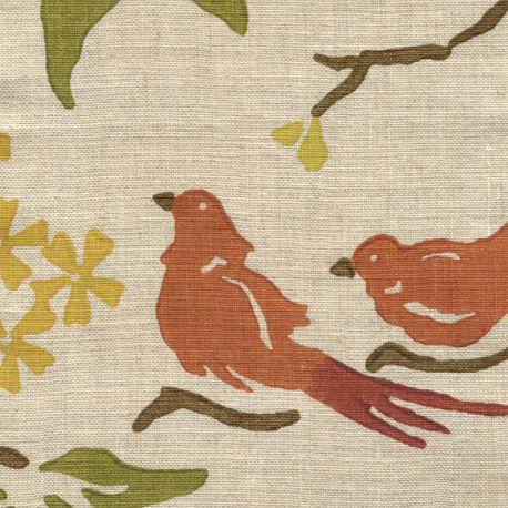 Galbraith & Paul | Birds