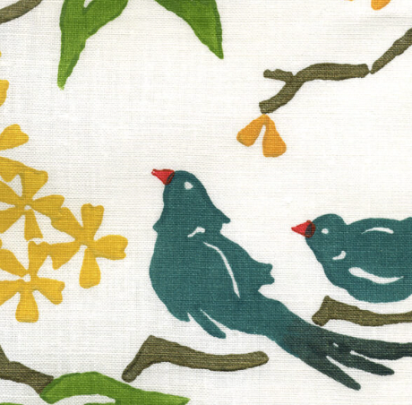 Galbraith & Paul | Birds