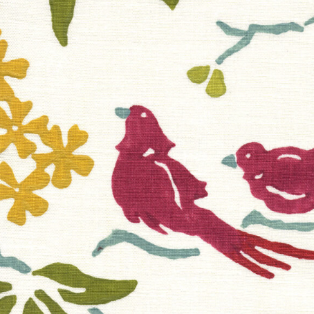 Galbraith & Paul | Birds