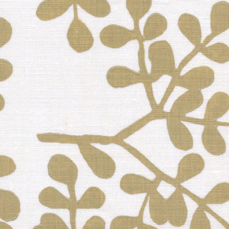 Galbraith & Paul | Smokebush