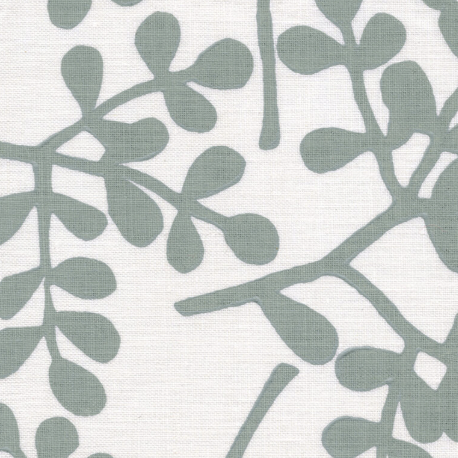 Galbraith & Paul | Smokebush