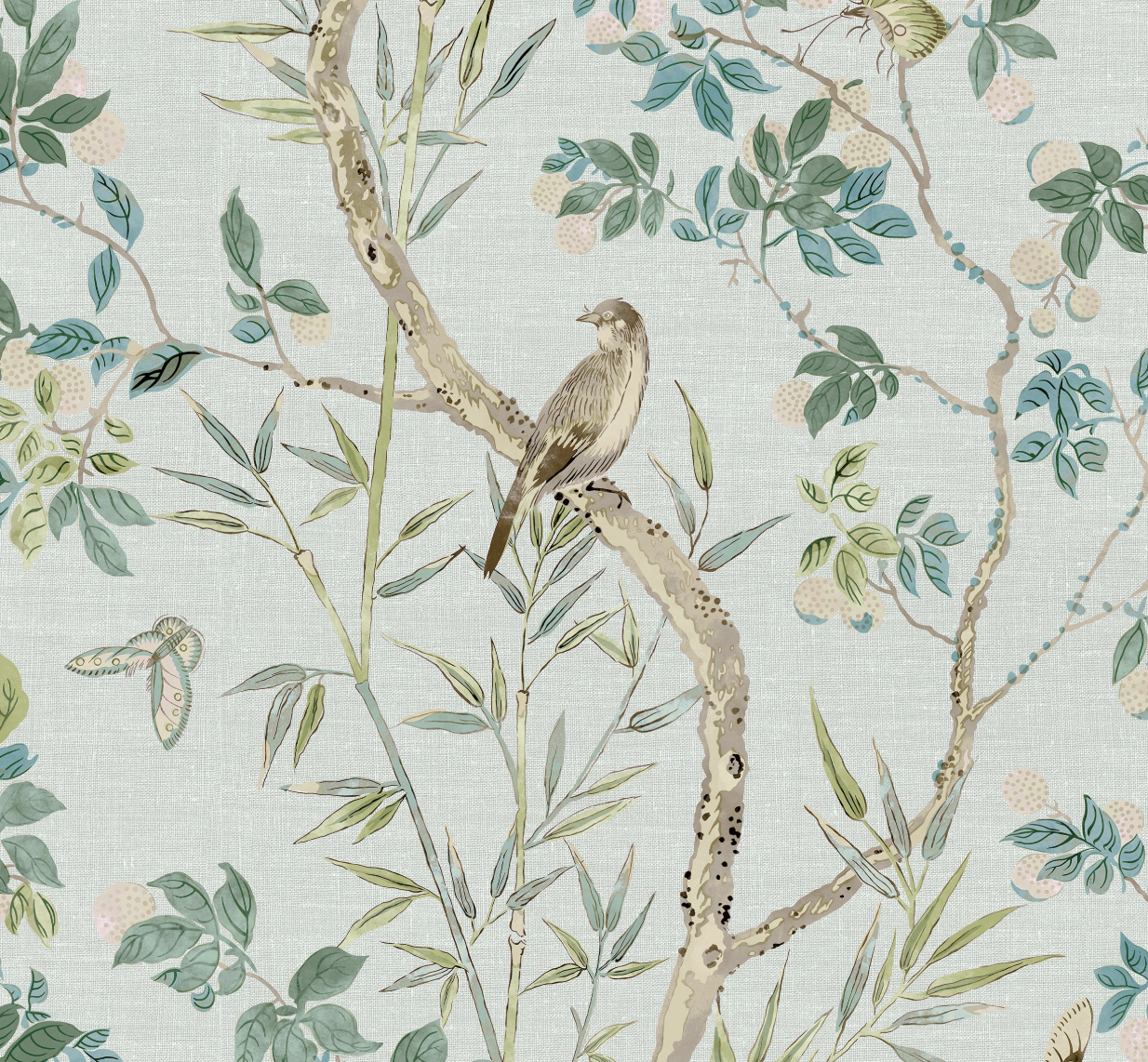 Thibaut | Claire