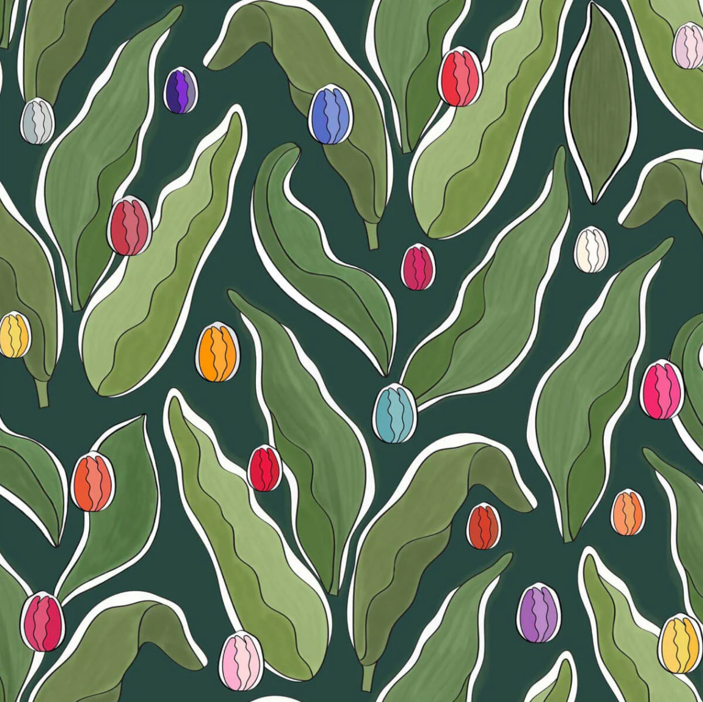 Ottoline | Tulip Festival