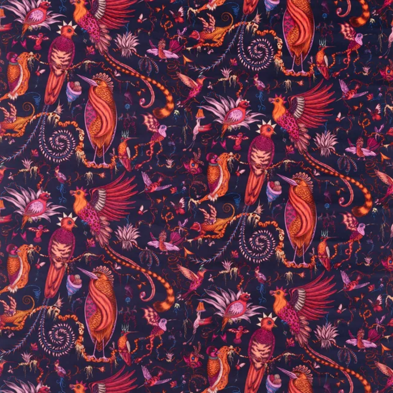 Emma J Shipley | Quetzal Velvet