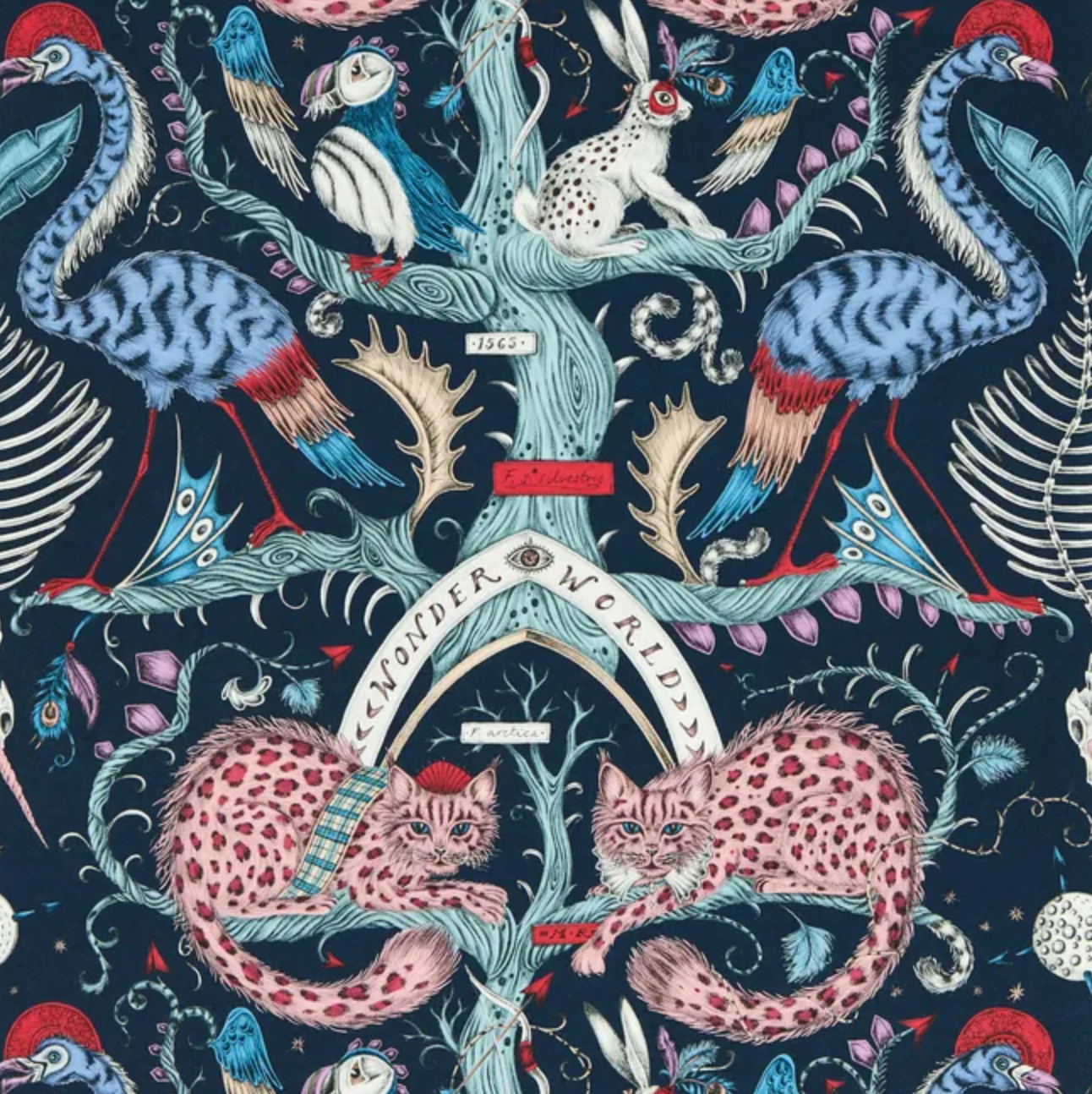 Emma J Shipley | Wonder World