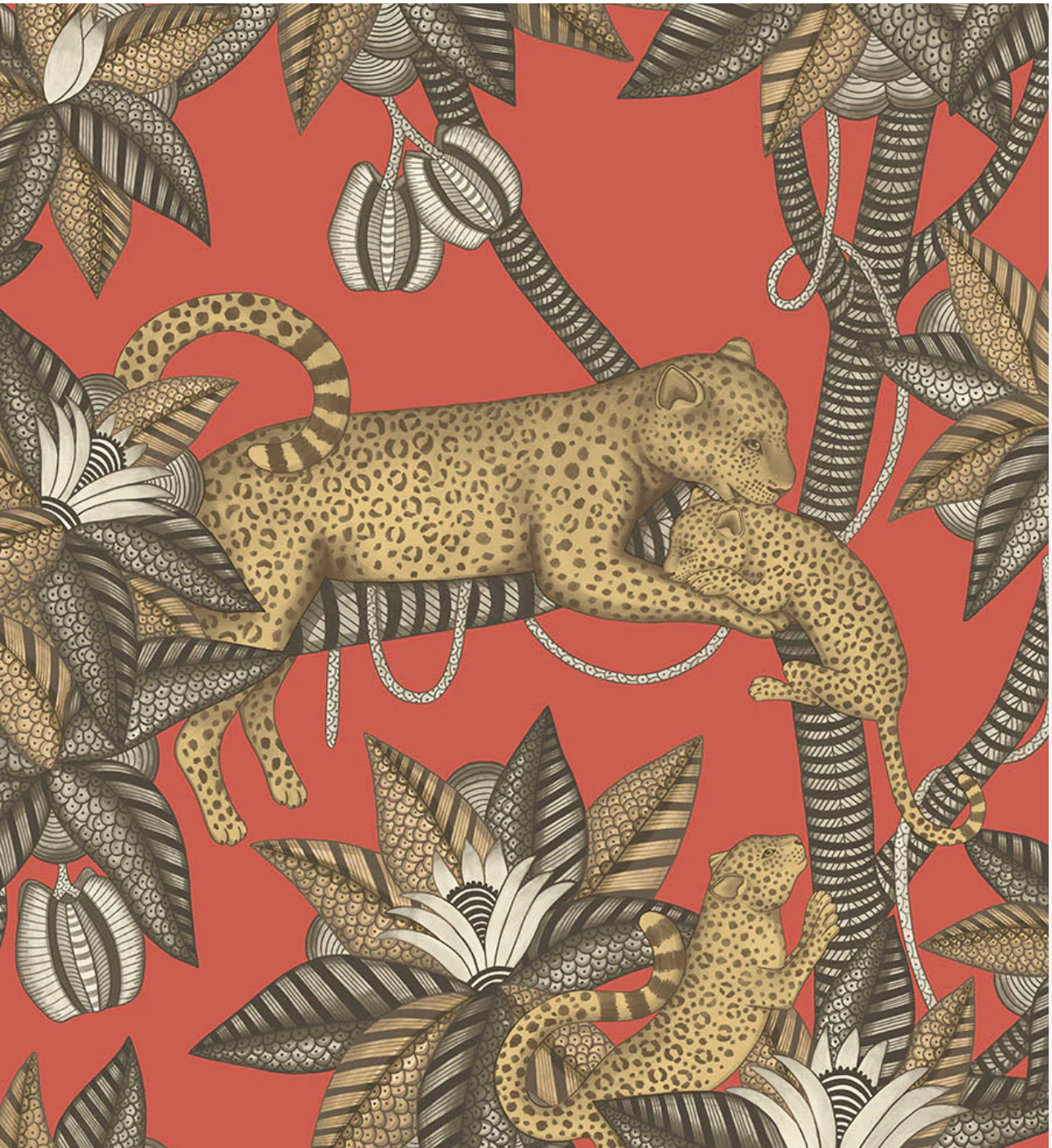 Cole & Son | Satara