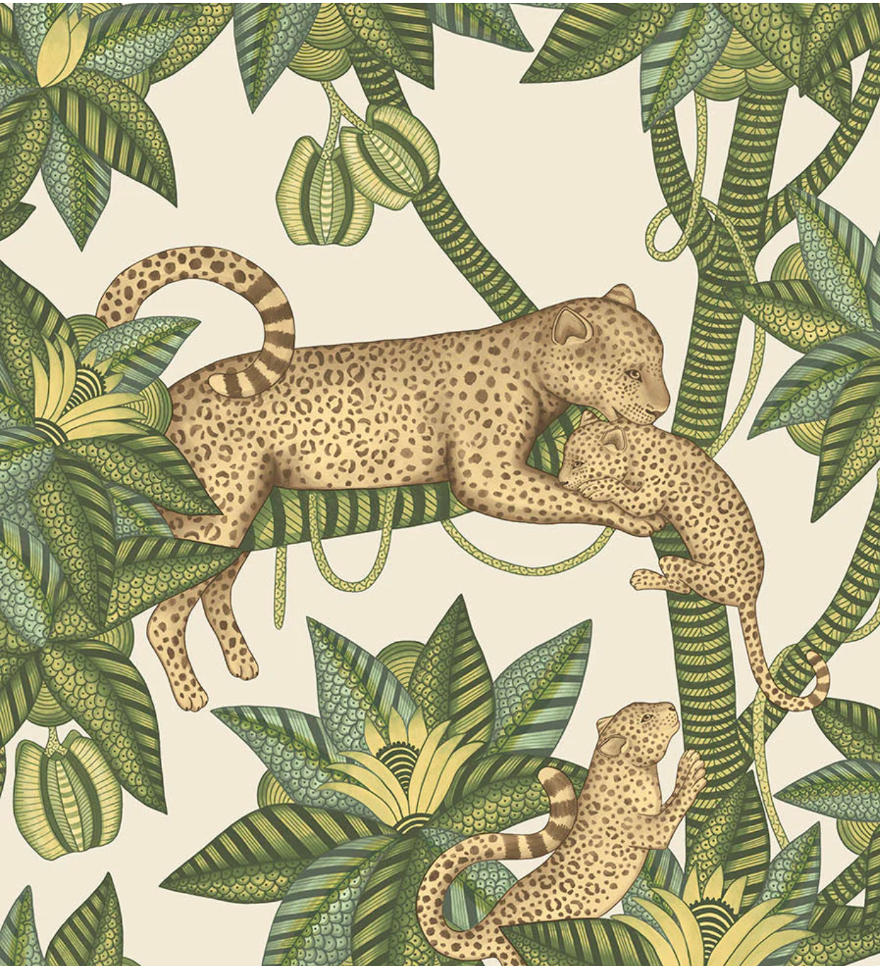 Cole & Son | Satara