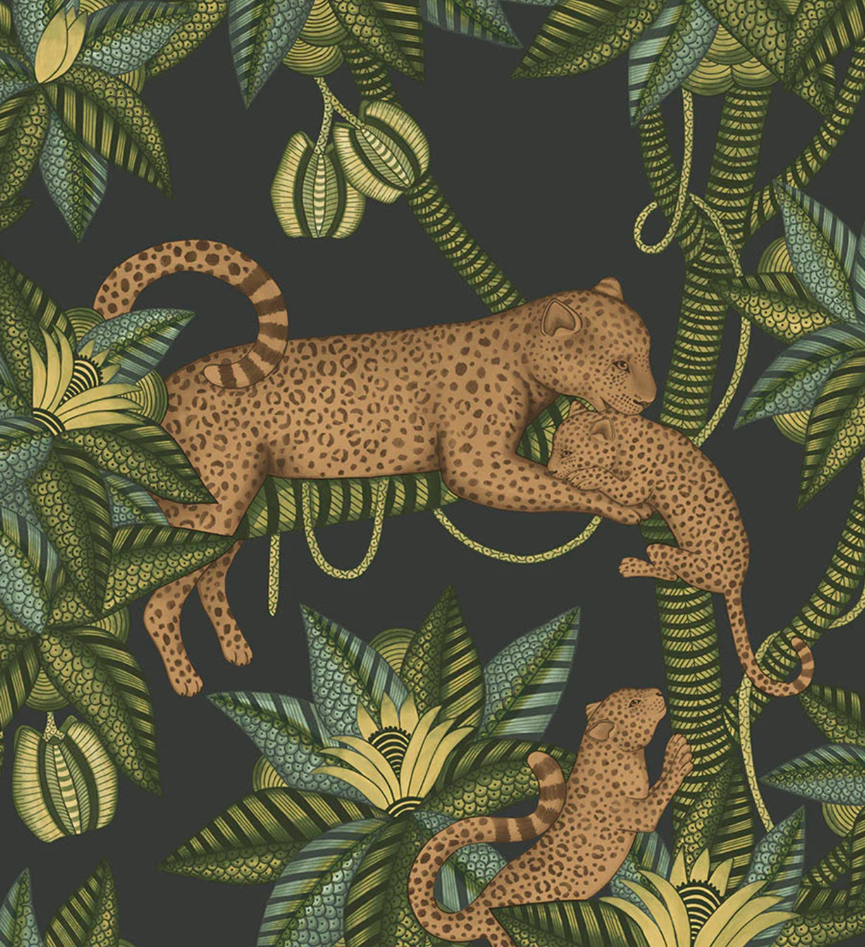Cole & Son | Satara