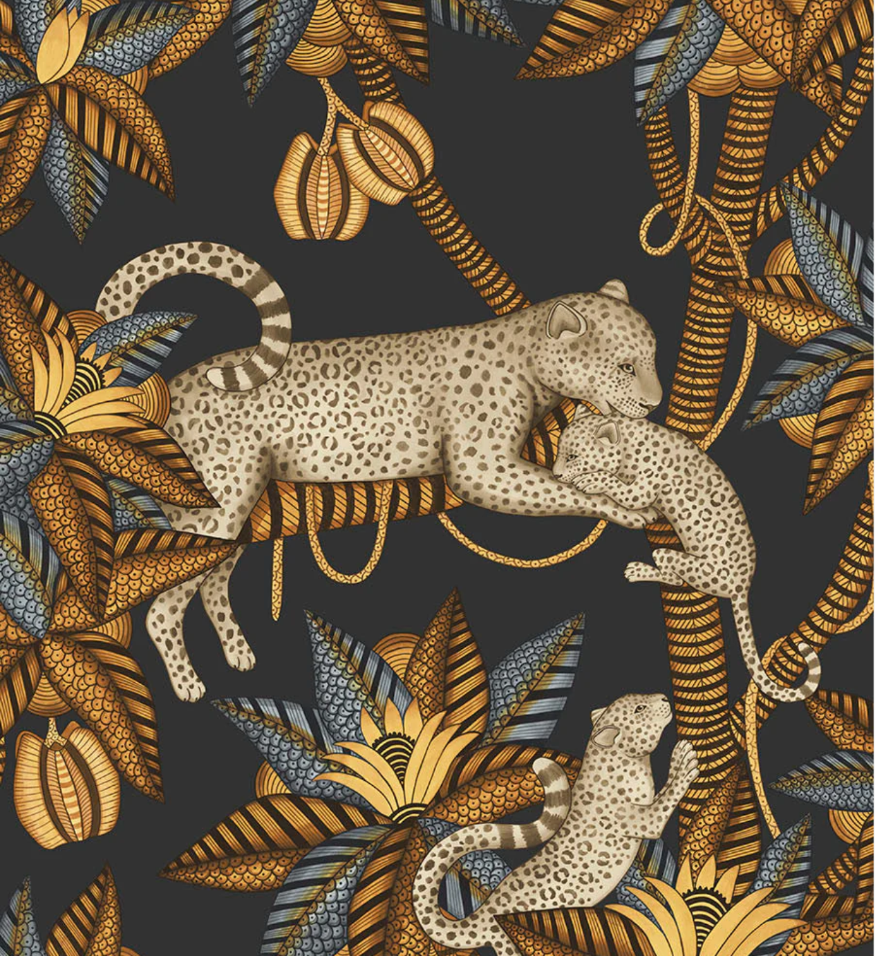 Cole & Son | Satara