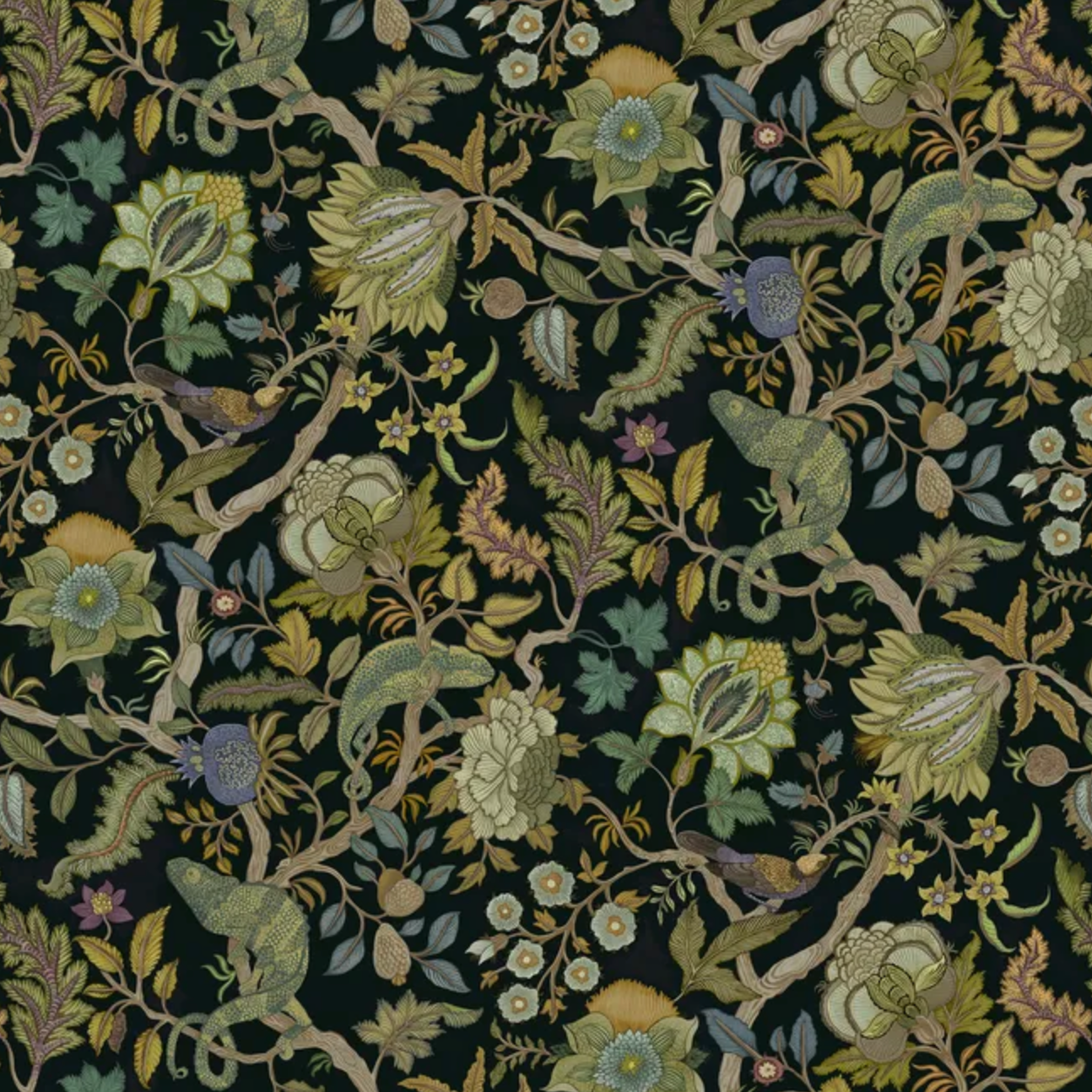 Josephine Munsey | Chameleon Trail
