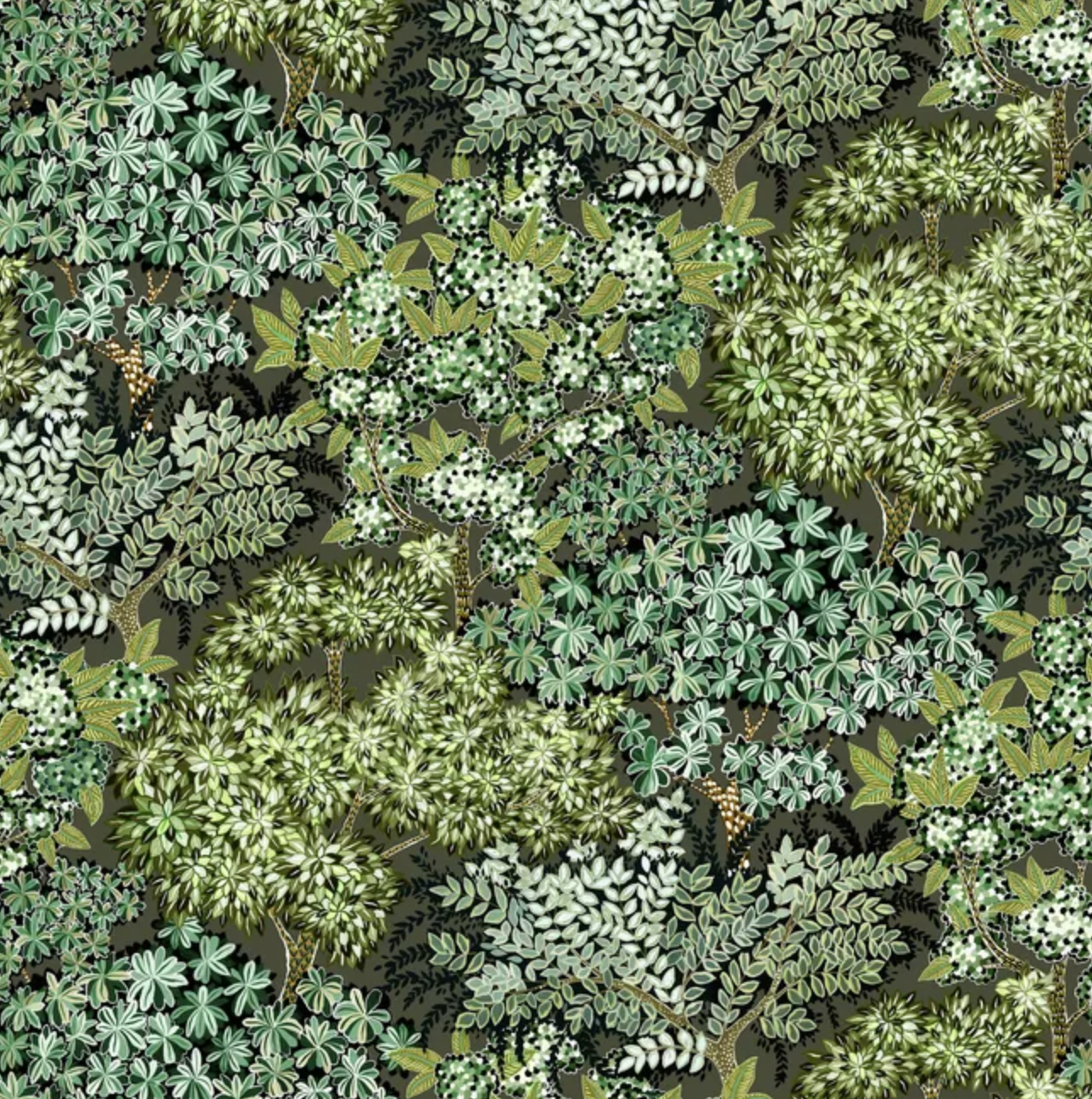 Josephine Munsey | Broccoli Canopy