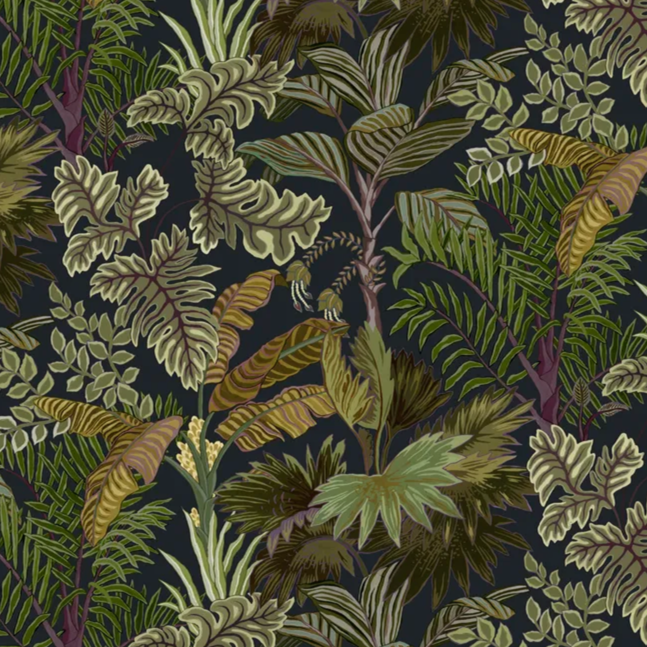 Josephine Munsey | Palm Grove