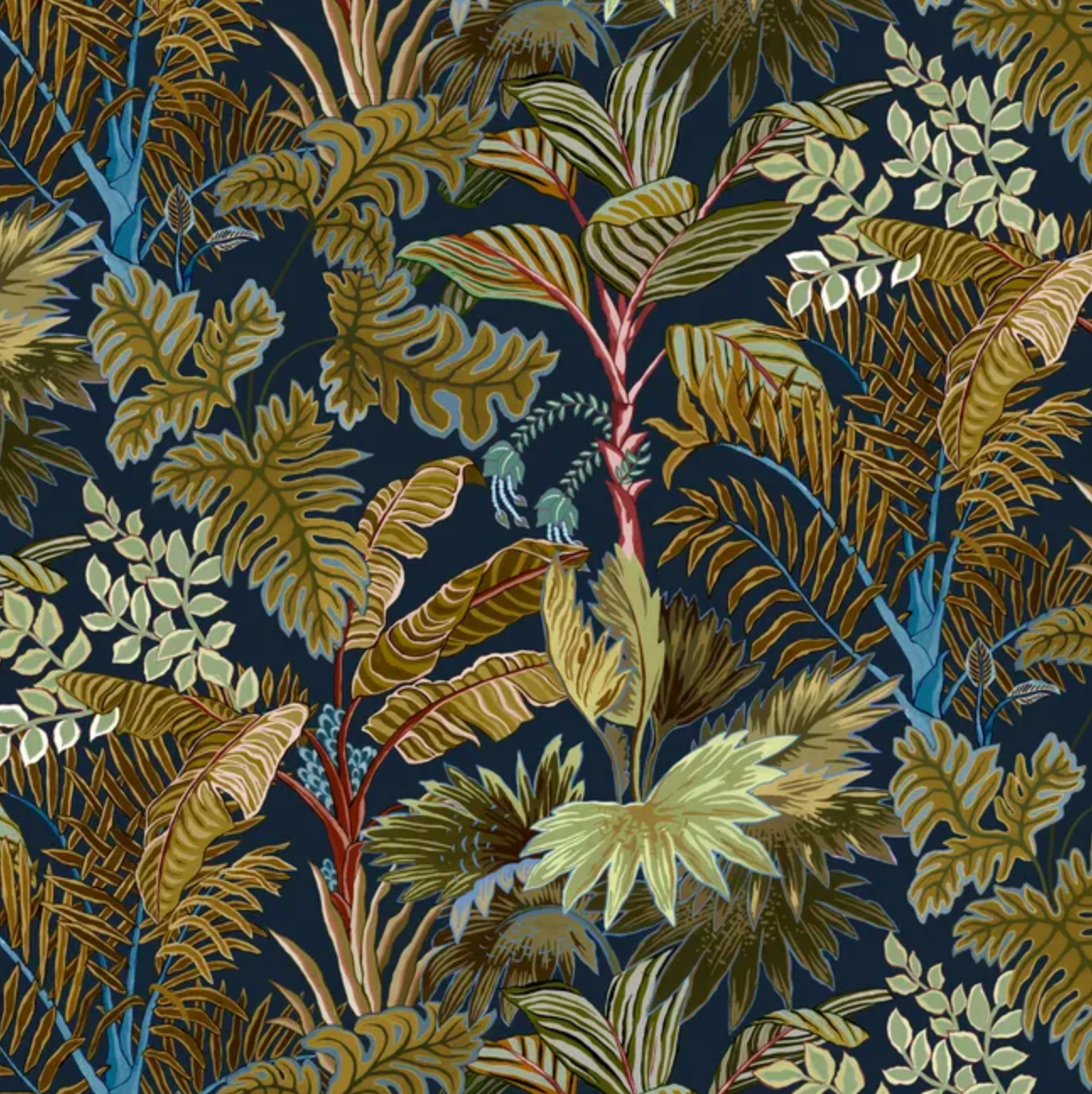 Josephine Munsey | Palm Grove