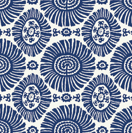 Thibaut | SOLIS