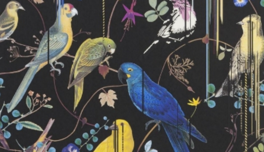 Christian Lacroix| BIRDS SINFONIA