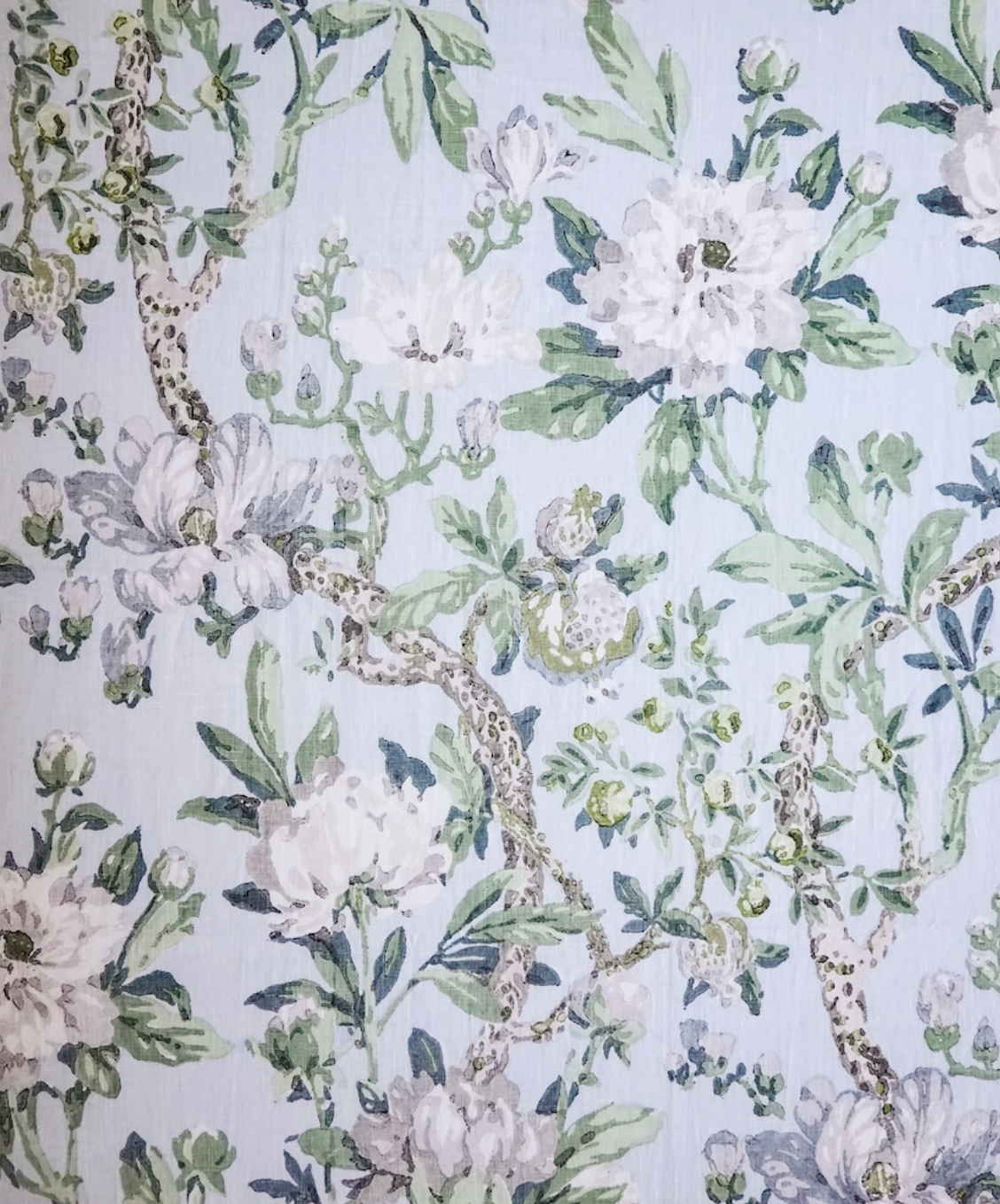 Hazelton House | Magnolia