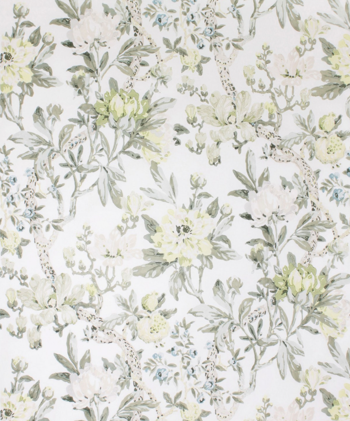 Hazelton House | Magnolia