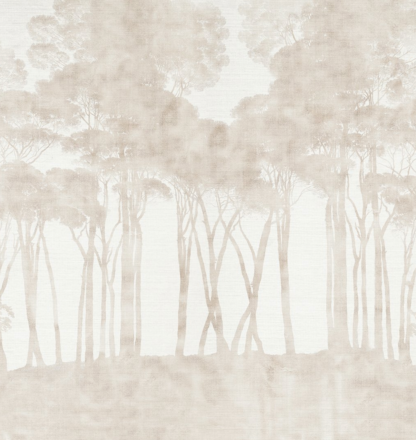 Parete | Pinos Noir