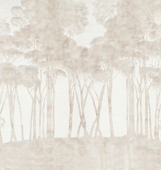 Parete | Pinos Noir