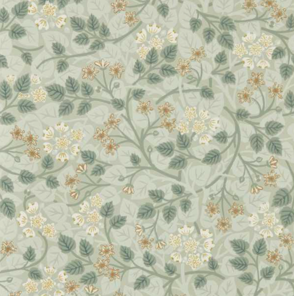 Sanderson | Silver Lime