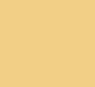 Yellow Ground | Modern Eggshell