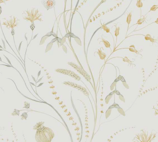 SANDERSON | WALLPAPER | SUMMER HARVEST | SILVER CORN