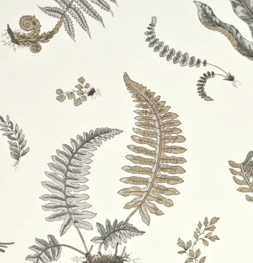 GP & J Baker | Wallpaper|  Larkhill | Ferns - Dove Grey/Silver