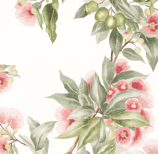 Thibaut | Wallpaper | Anna French - Devon | Camellia Garden | Coral