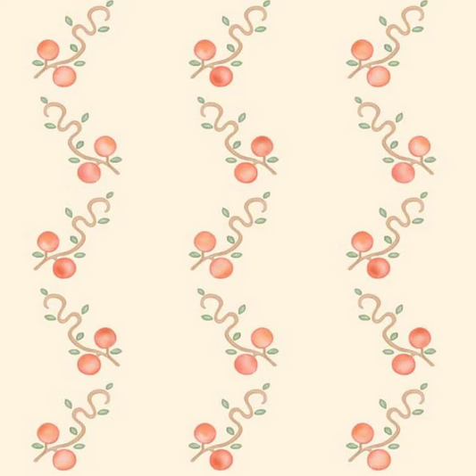 Ottoline | Macadamia