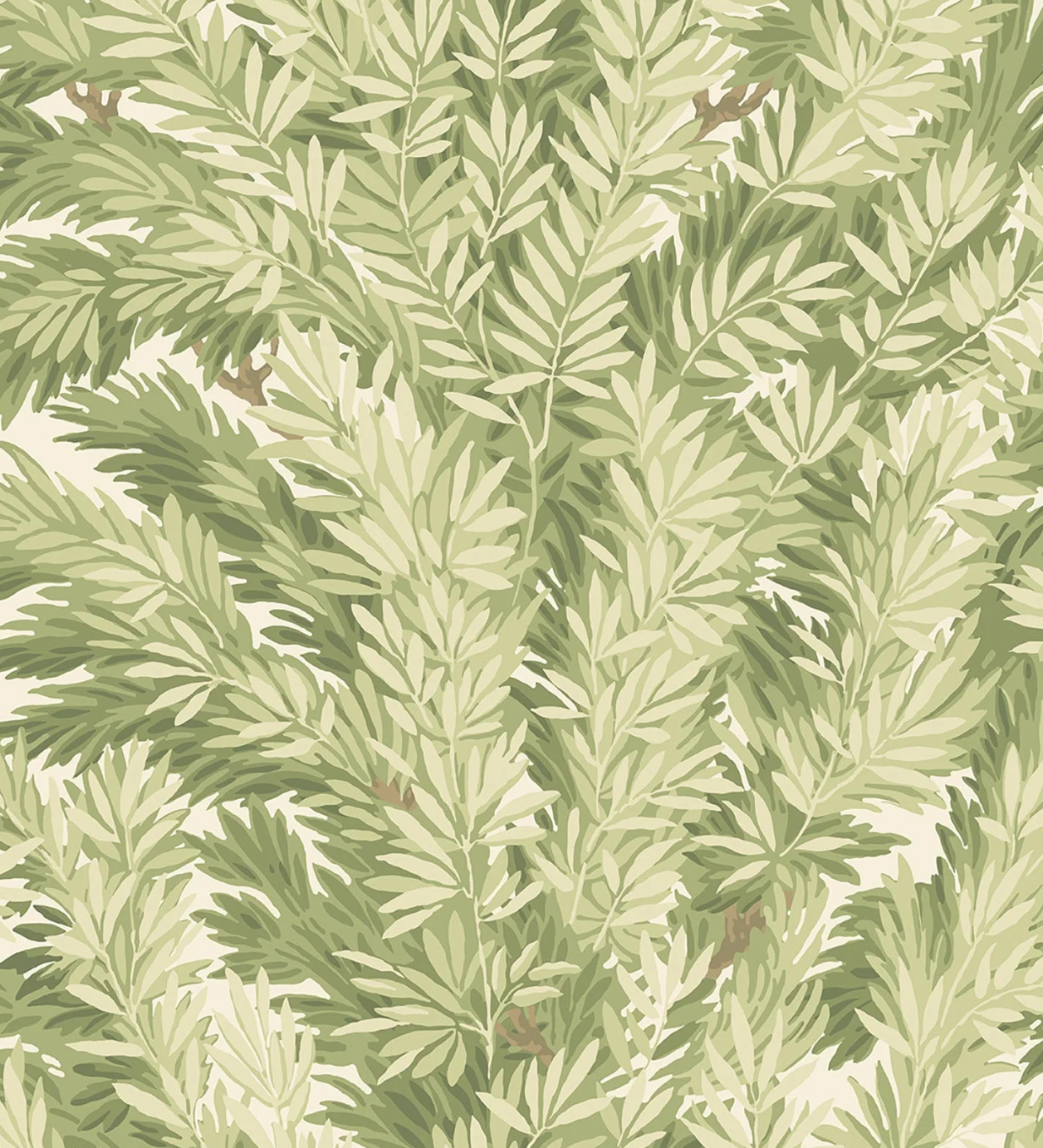 Cole & Son | Florencecourt