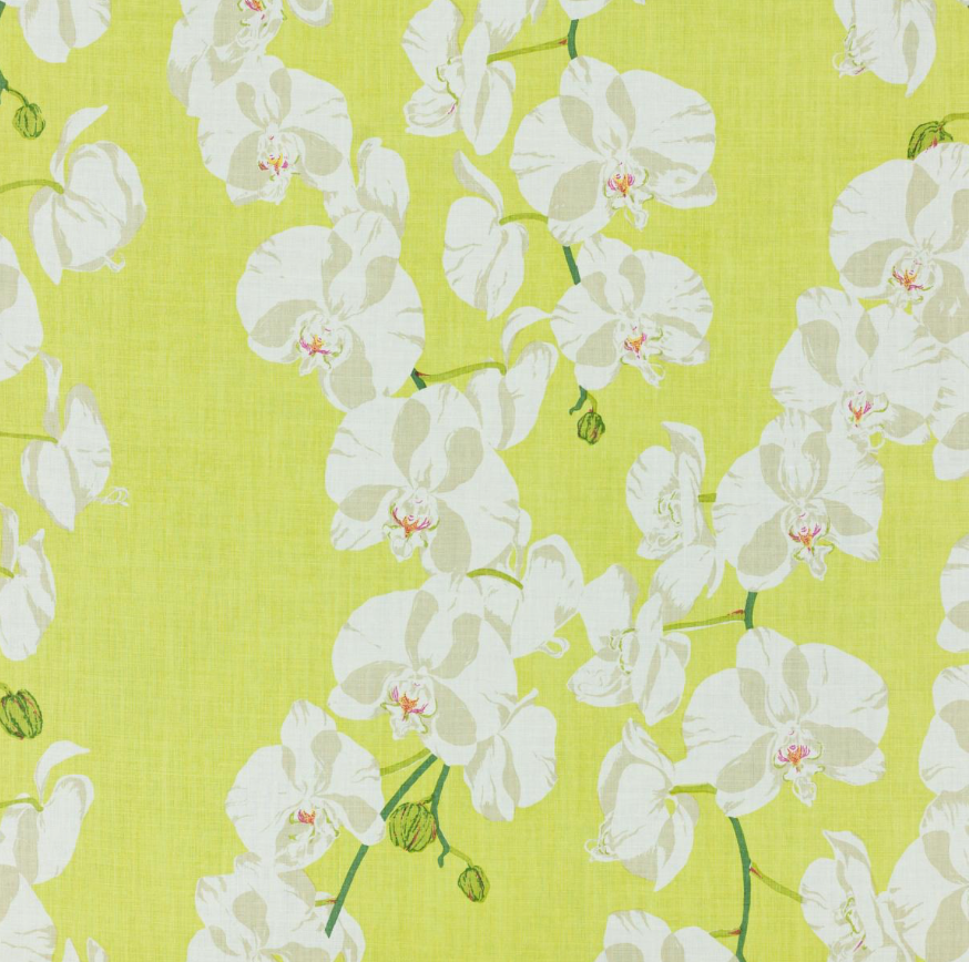 Raoul Textiles | Celeste
