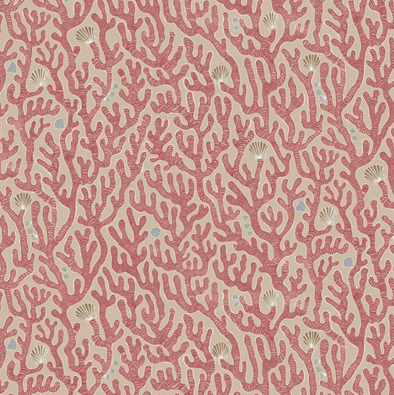 Josephine Munsey | Coral