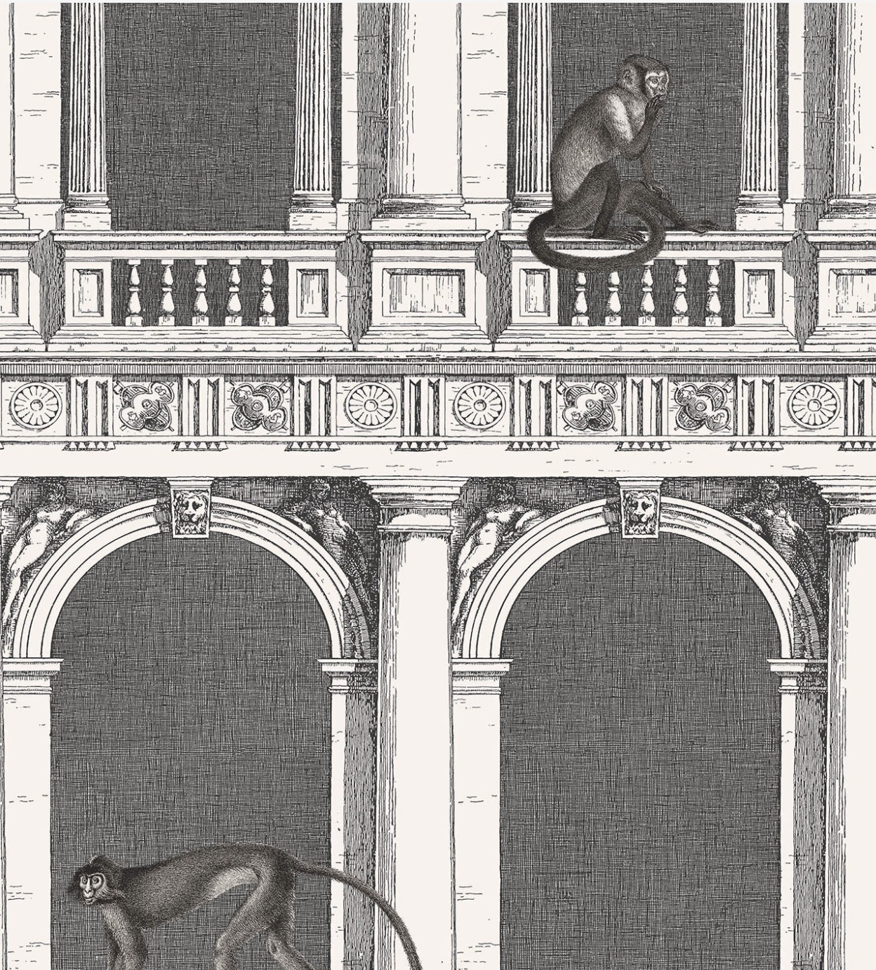 Cole & Son | Procuratie e Scimmie
