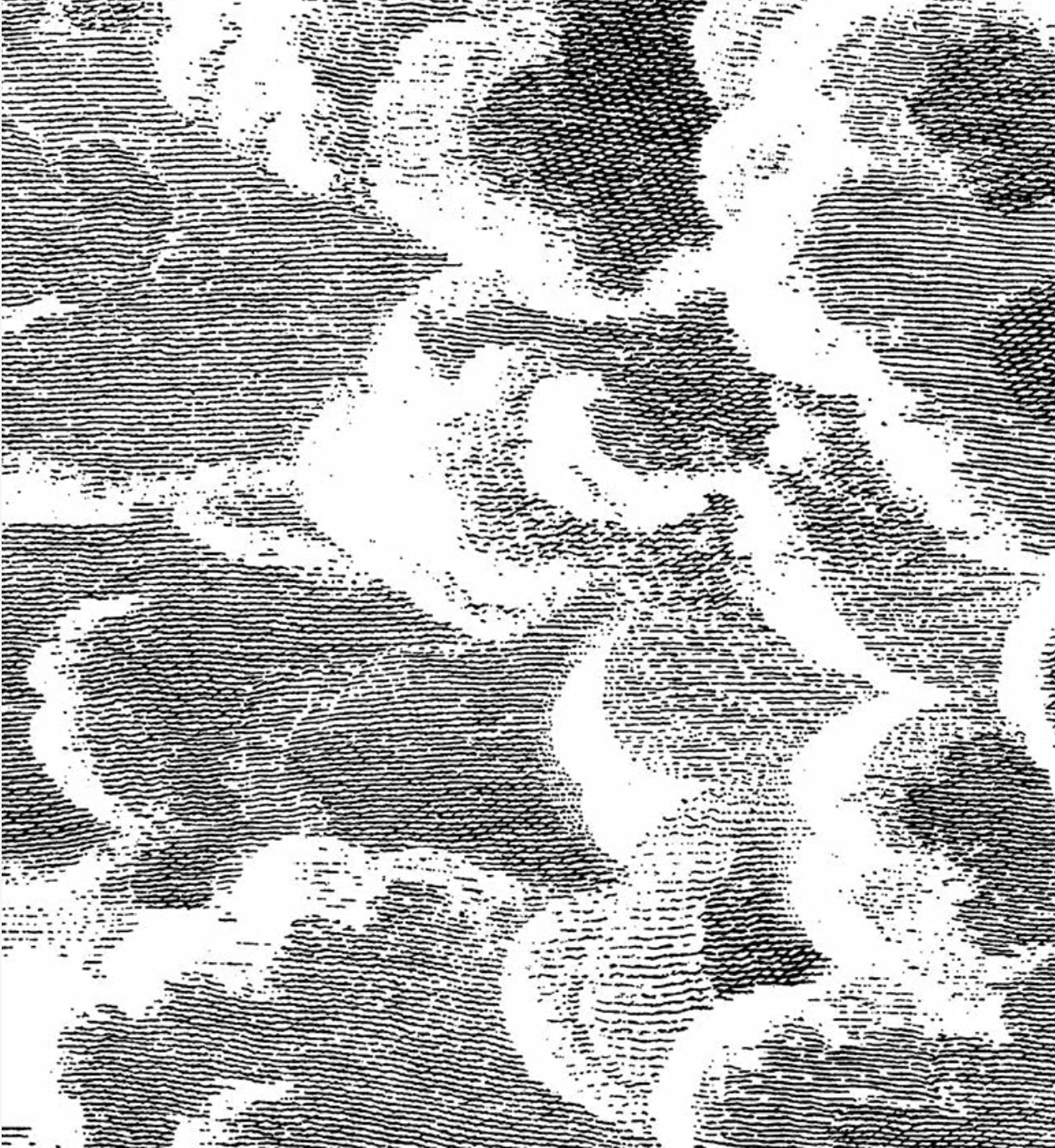Cole & Son | Nuvole