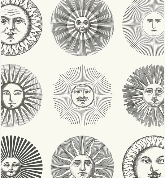 Cole & Son | Soli