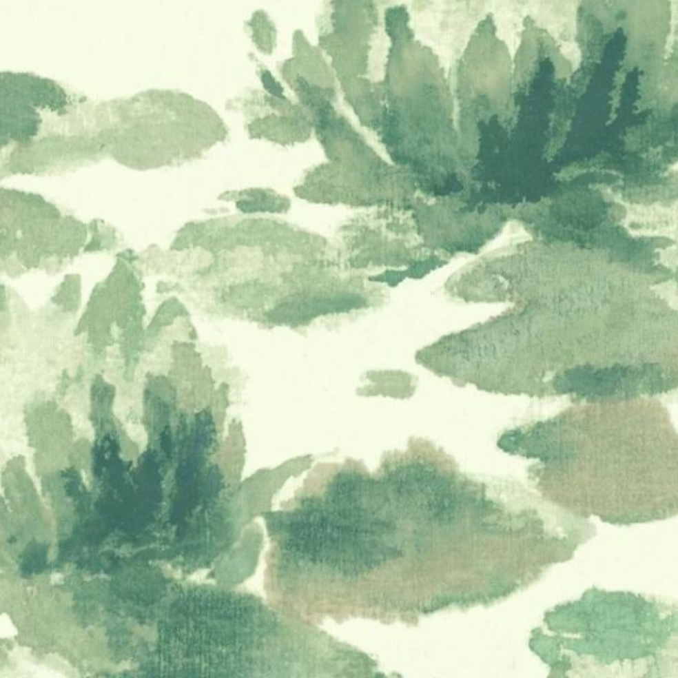 York | Water Lily