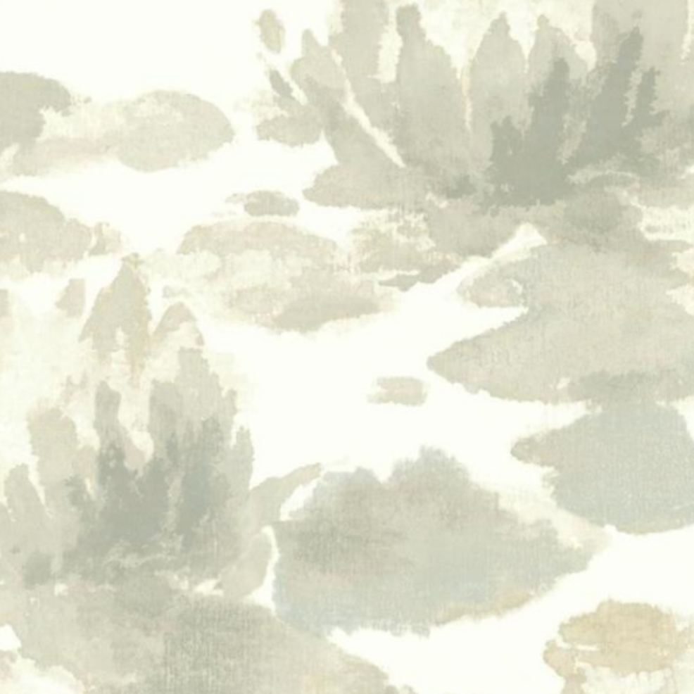 York | Water Lily