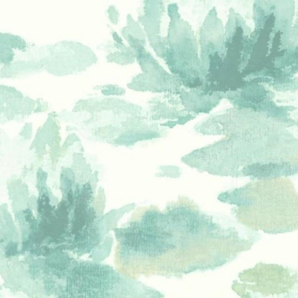 York | Water Lily