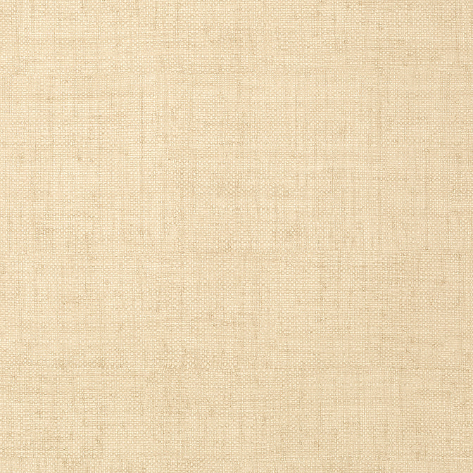 Thibaut | Bankun Raffia | Cream