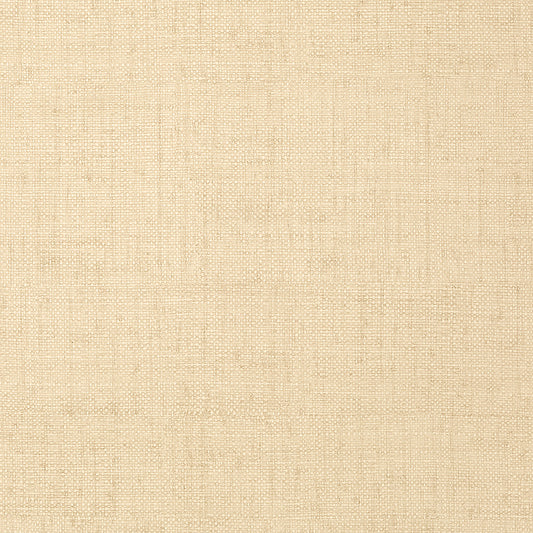 Thibaut | Bankun Raffia | Cream