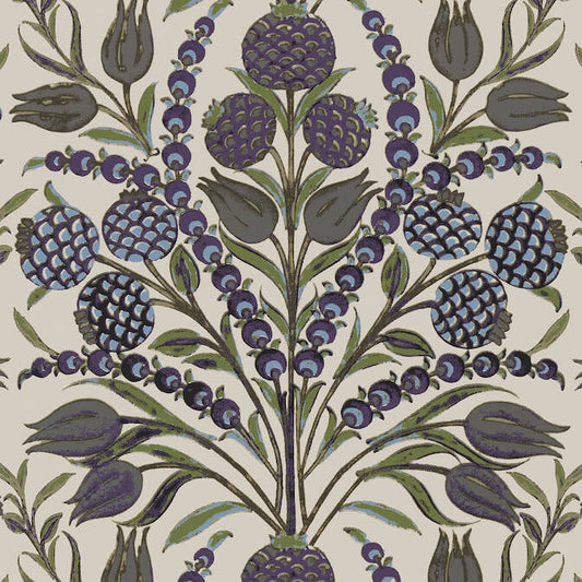 Thibaut | Cornelia